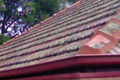 Adelaide Roof Tile Recyclers